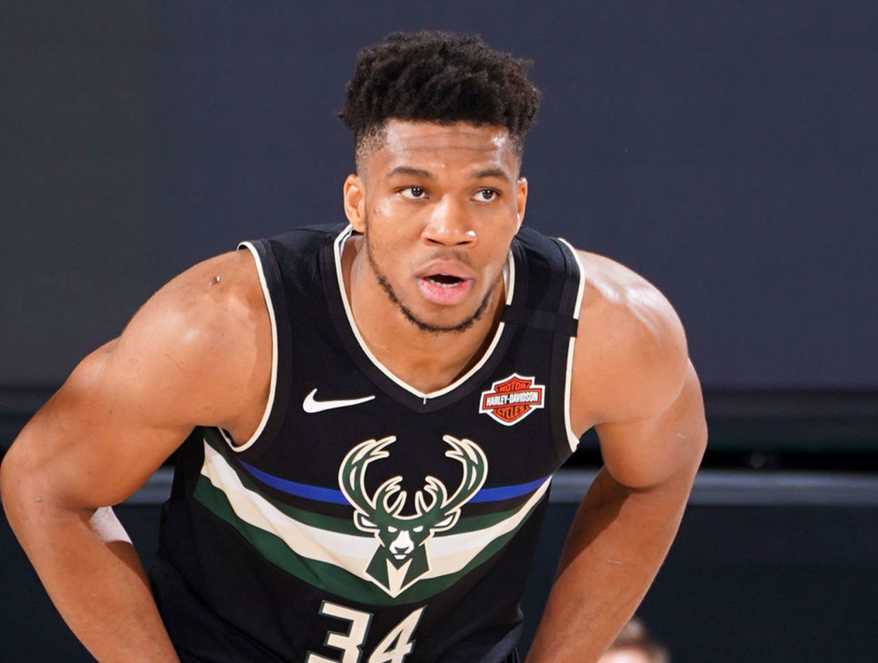 毛球联合会 毛球联合会