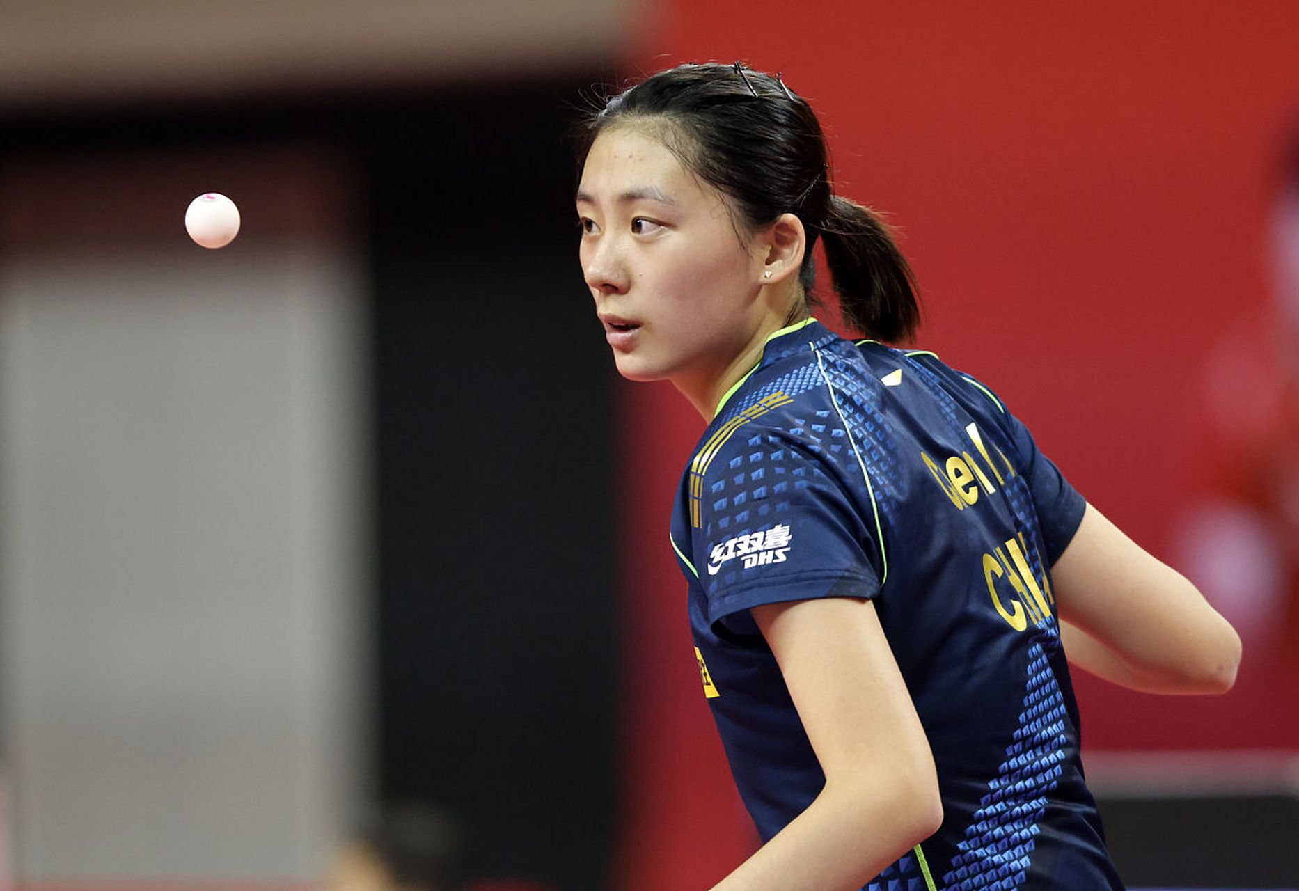 科瓦契奇聪 科瓦契奇聪