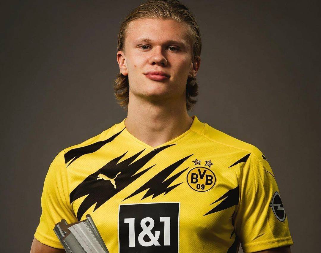 交易特例 交易特例